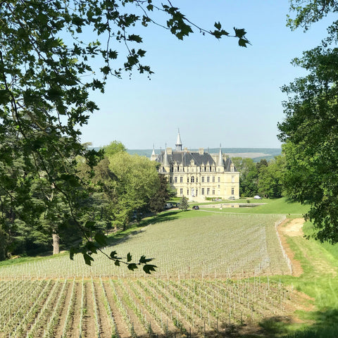 A Guide to Loire Valley Wine
