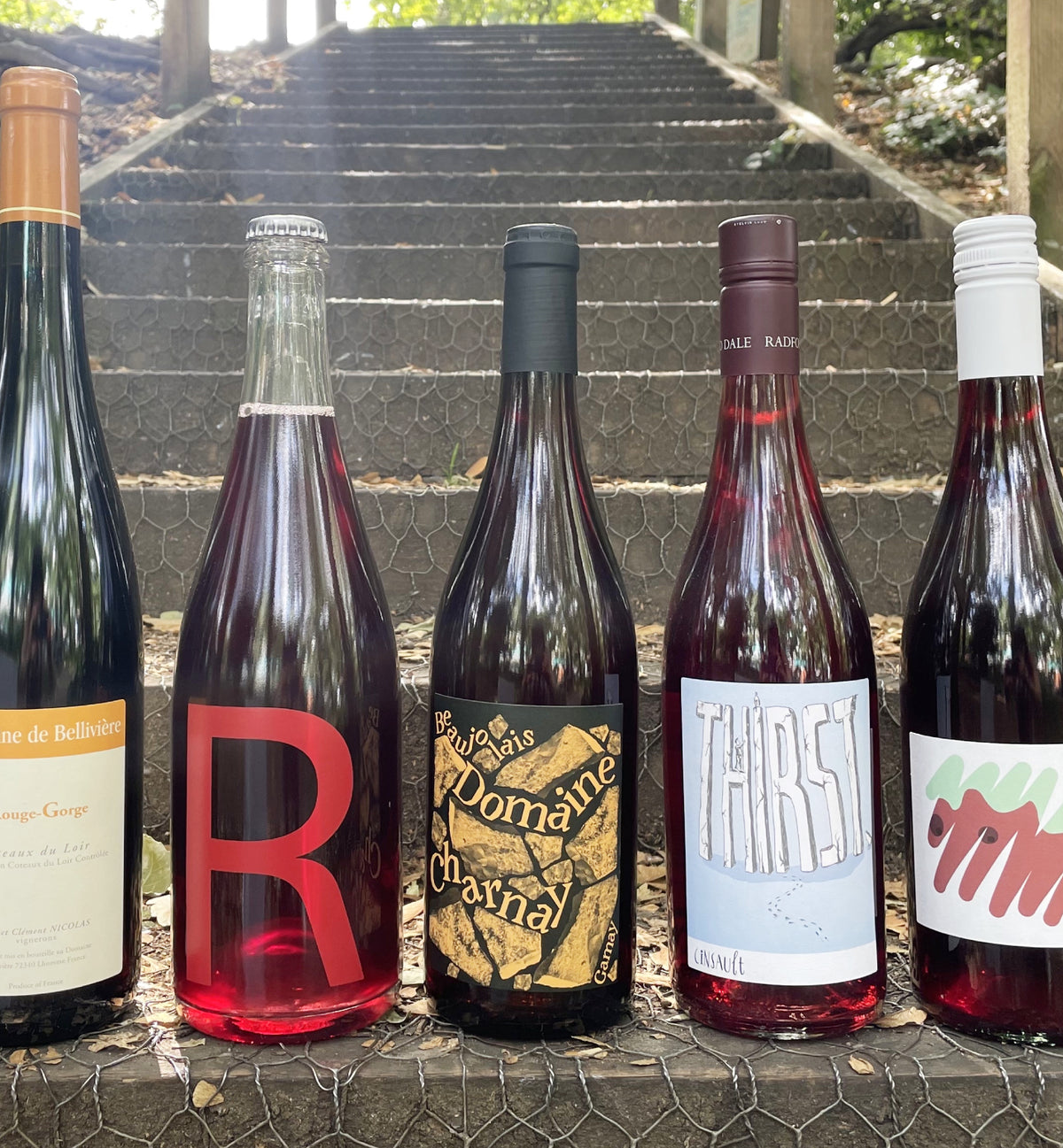 Check out all FRIDGE friendly reds
