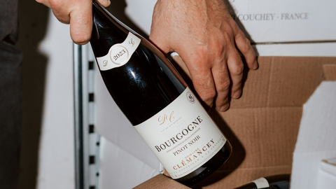 guide to burgundy wine