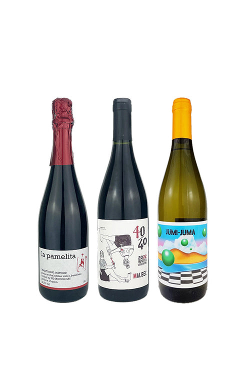 Bold & Structured Wine Bundle