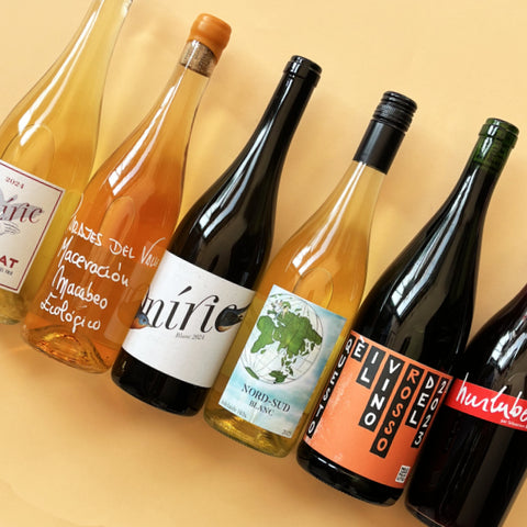Natural Wine mixed case (6 bottles)