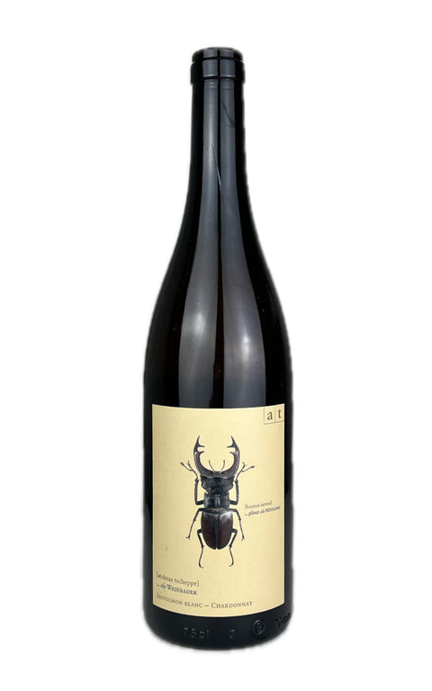 Andreas Tscheppe Stagbeetle