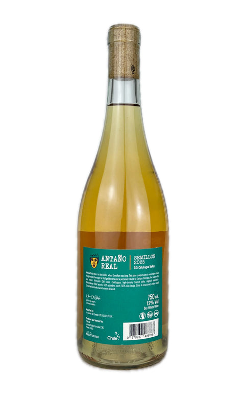 Antano Real Orange, Luca Hodgkinson, Chile