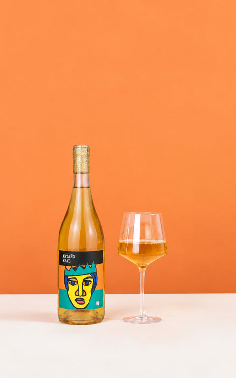 Antano Real Orange, Luca Hodgkinson, Chile