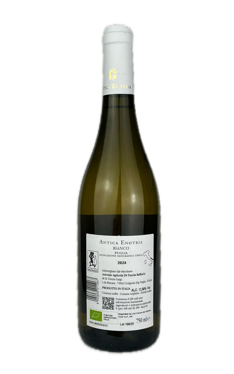 Antica Enotria, Nellamiaterra Bianco