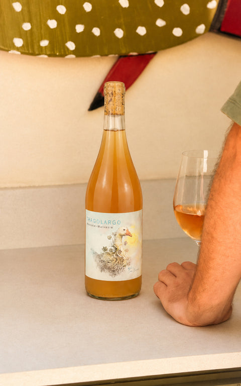Tragolargo Blanco, Casa Balaguer Vinessens