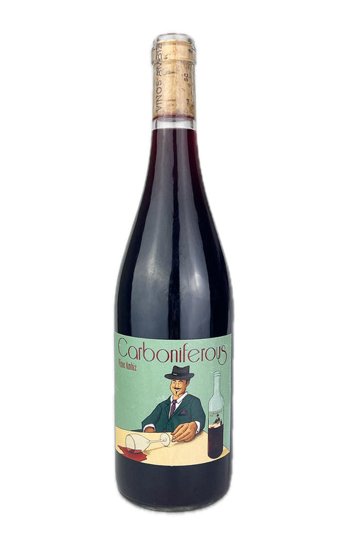 Vinos Ambiz, Carboniferous, Castilla y Leon